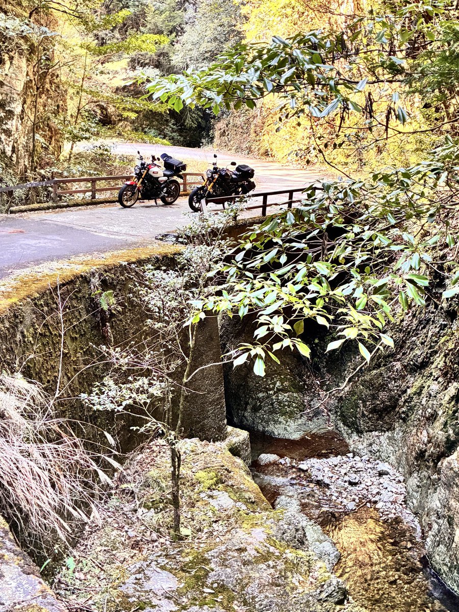 プイプイ⭐︎ tweet media