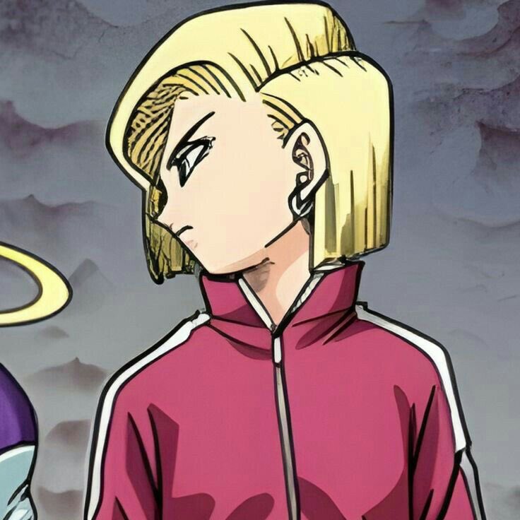Daily Android 18 tweet media