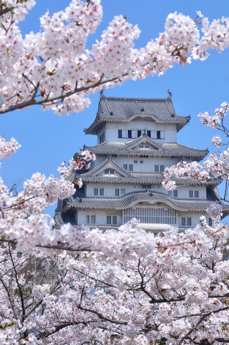 world_tourists_'s tweet photo. 📍Himeji Castle, Osaka, Japan 🇯🇵 https://t.co/iha5gCfbRl