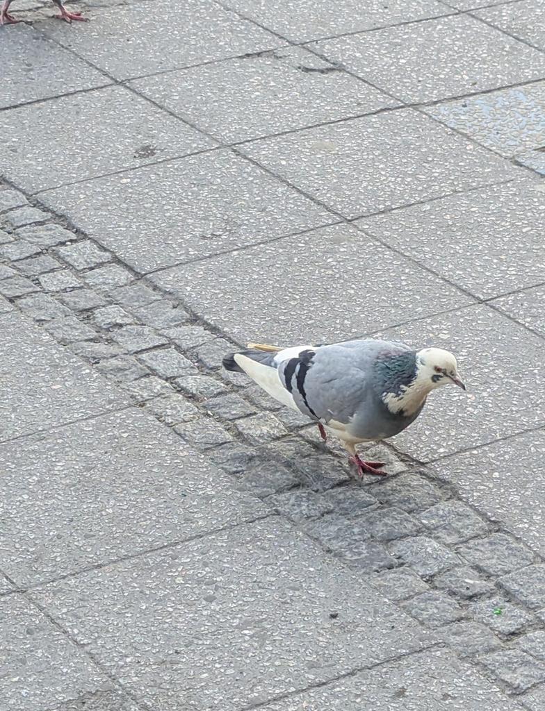 ๑Miss.Fullmoon๑ tweet media