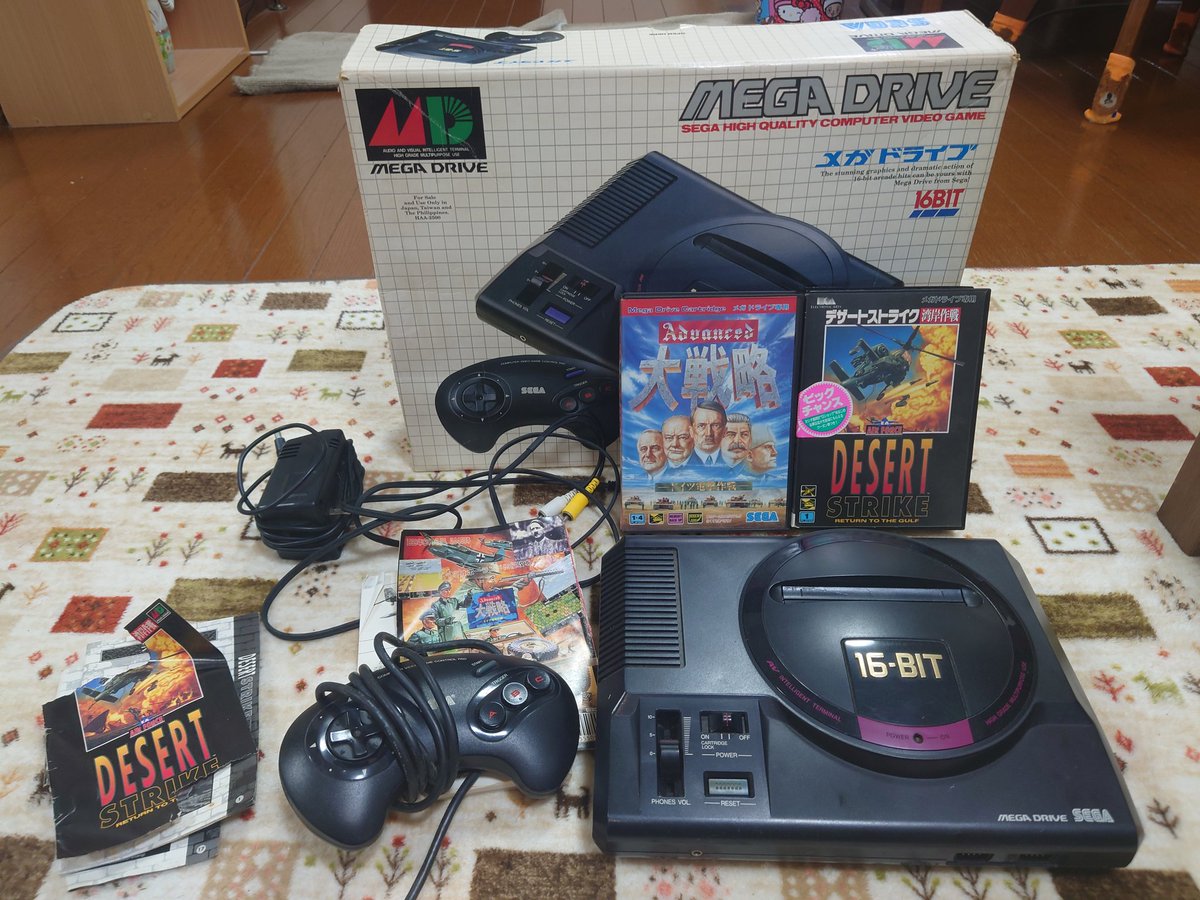 これわ昔、引っ越しの際にマウンテンサイクルから出土したメガドライブ