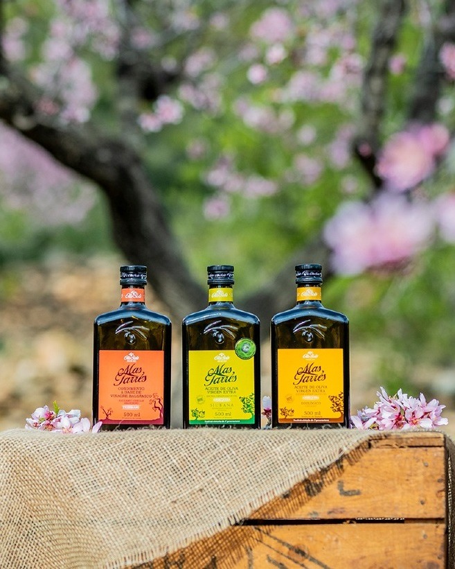 Olis Solé tweet media