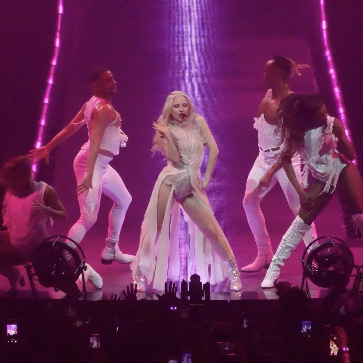 blondie™ tweet media