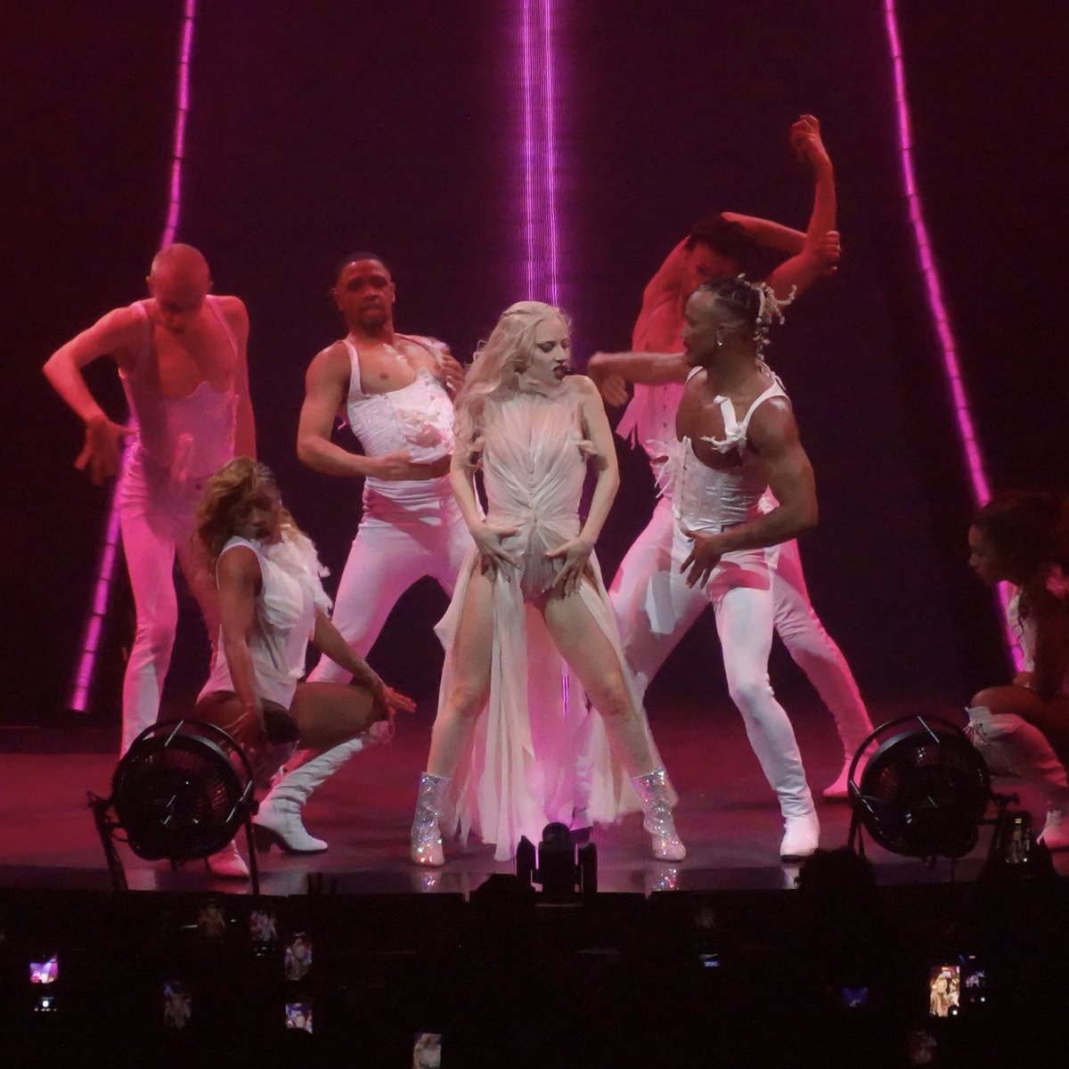 blondie™ tweet media