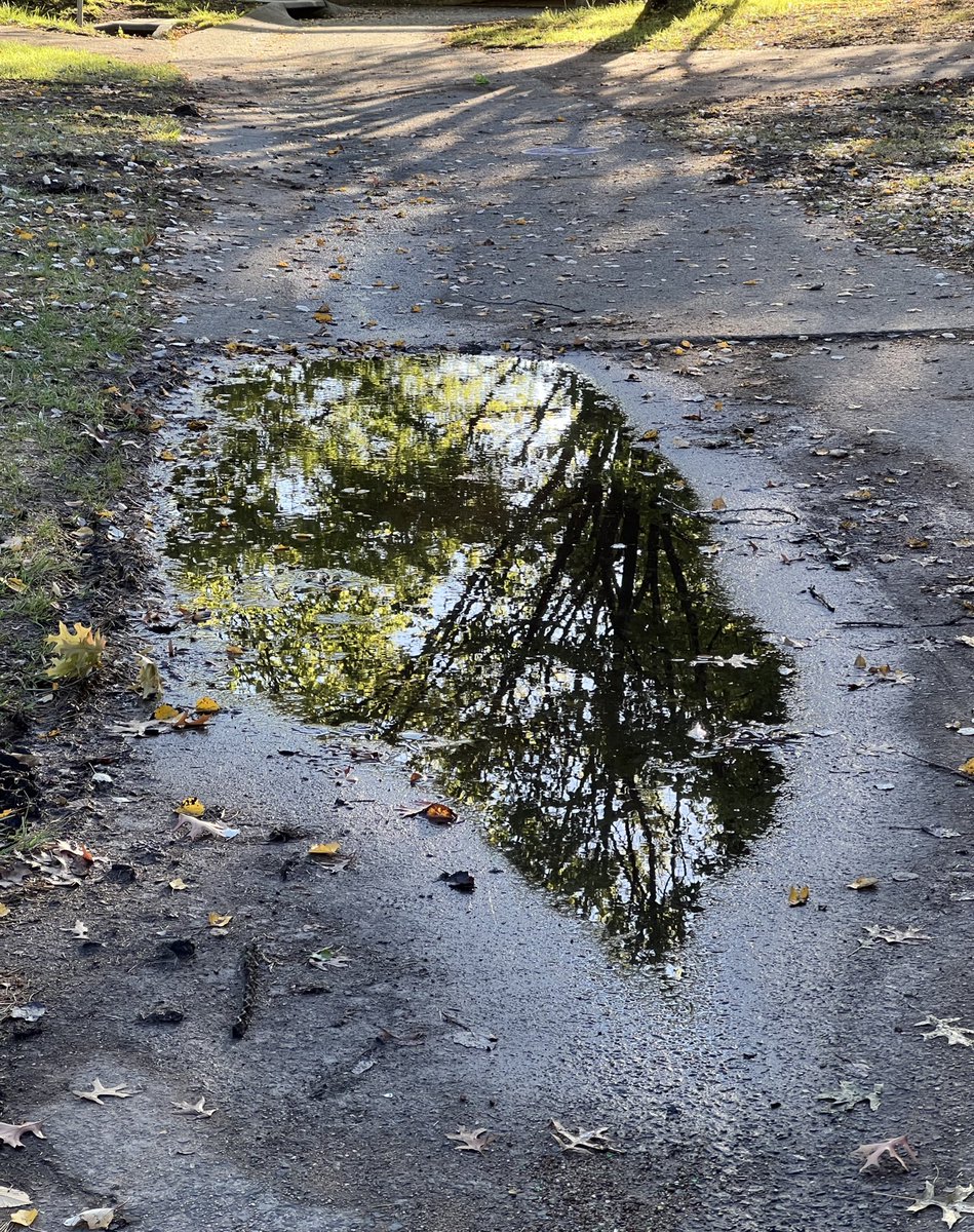 wapple15's tweet photo. #PuddleArt #APuddleADay https://t.co/l1dvkG3Rja