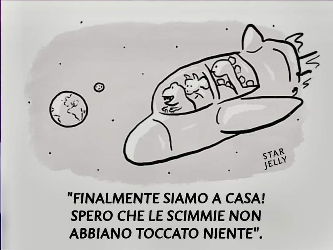 VolpeReal's tweet image. Speriamo che le scimmie non abbiano toccato niente