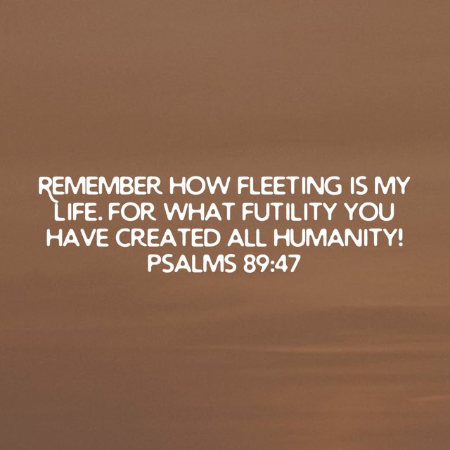 Ryan Rhoades tweet media