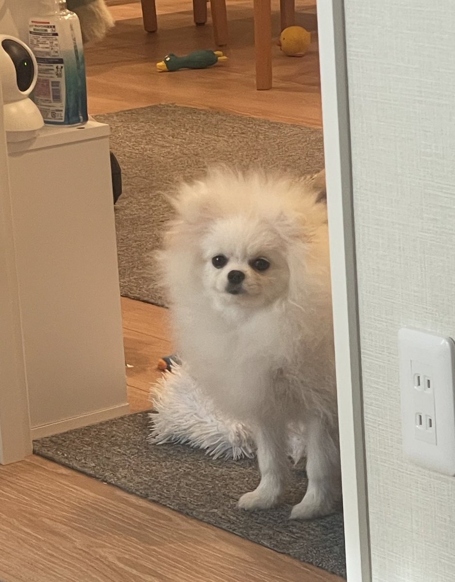 不思議な生き物だった猿期