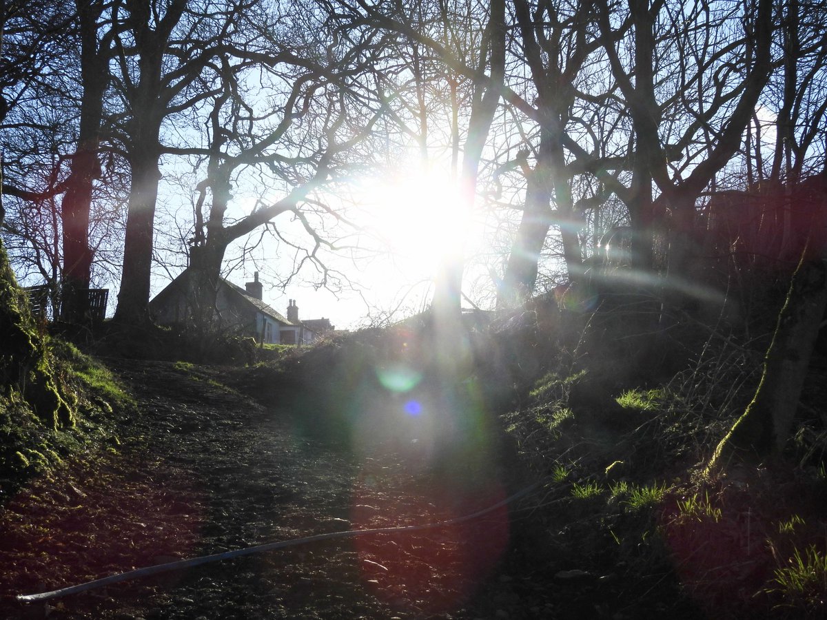 Ellie 🌲🌼🦜 tweet media