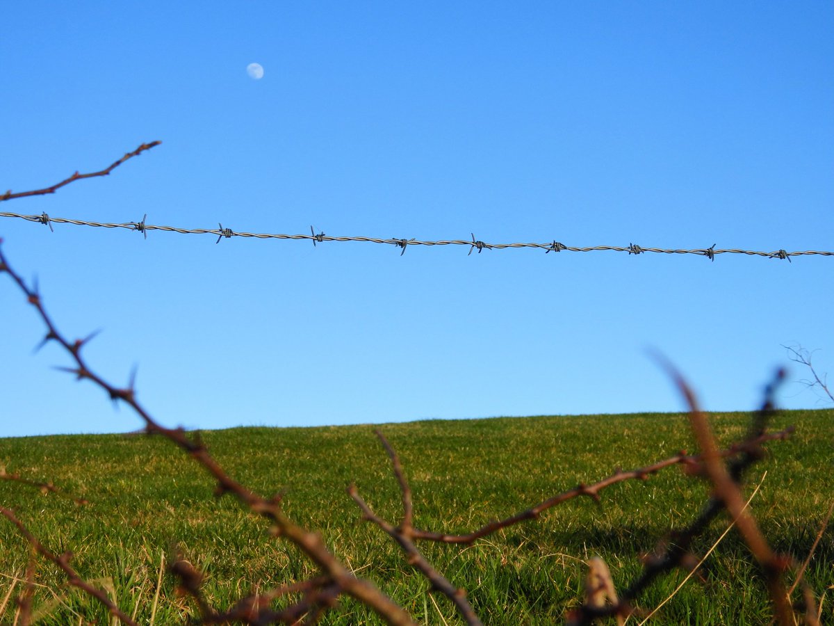 Ellie 🌲🌼🦜 tweet media