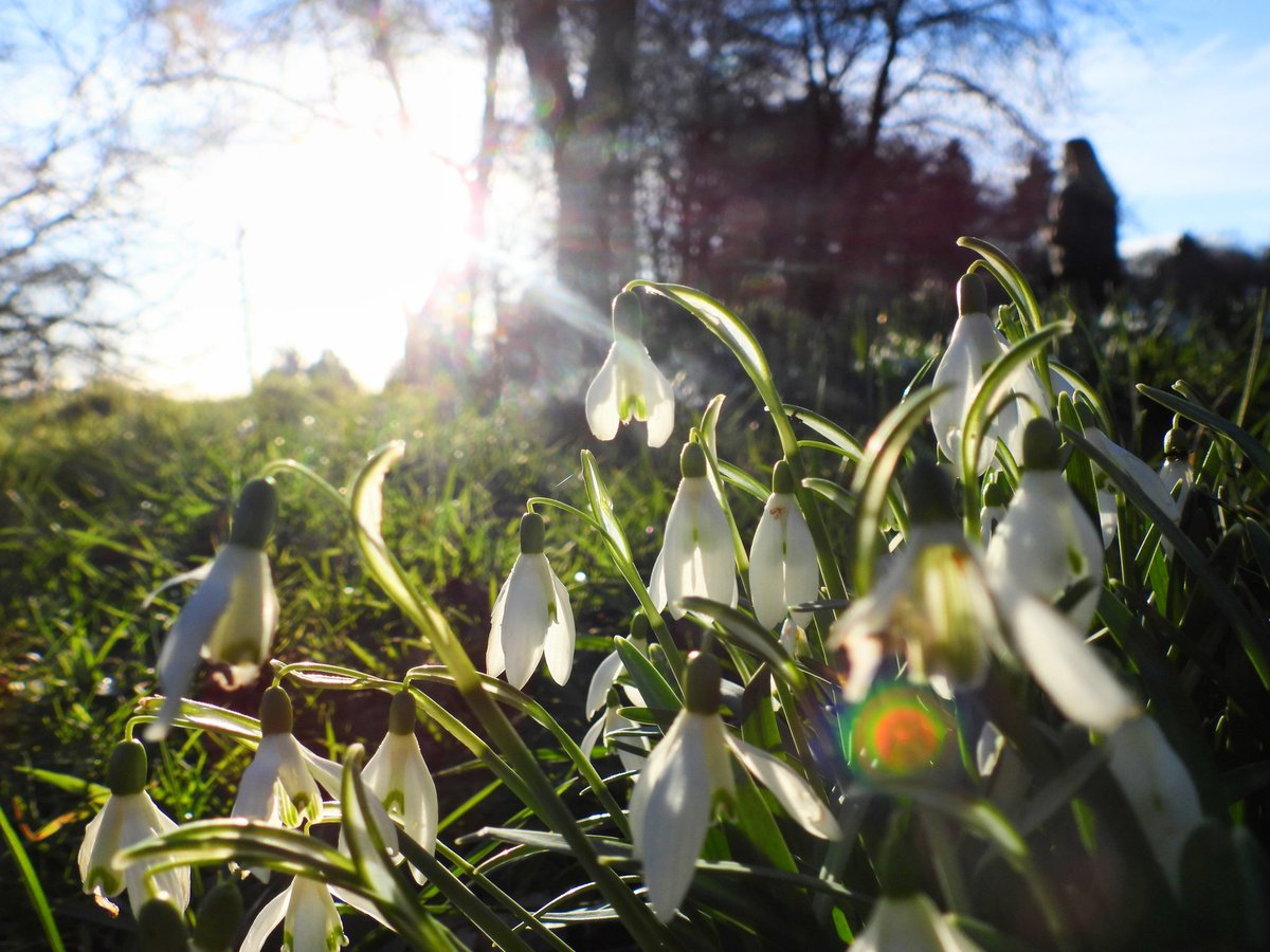 Ellie 🌲🌼🦜 tweet media