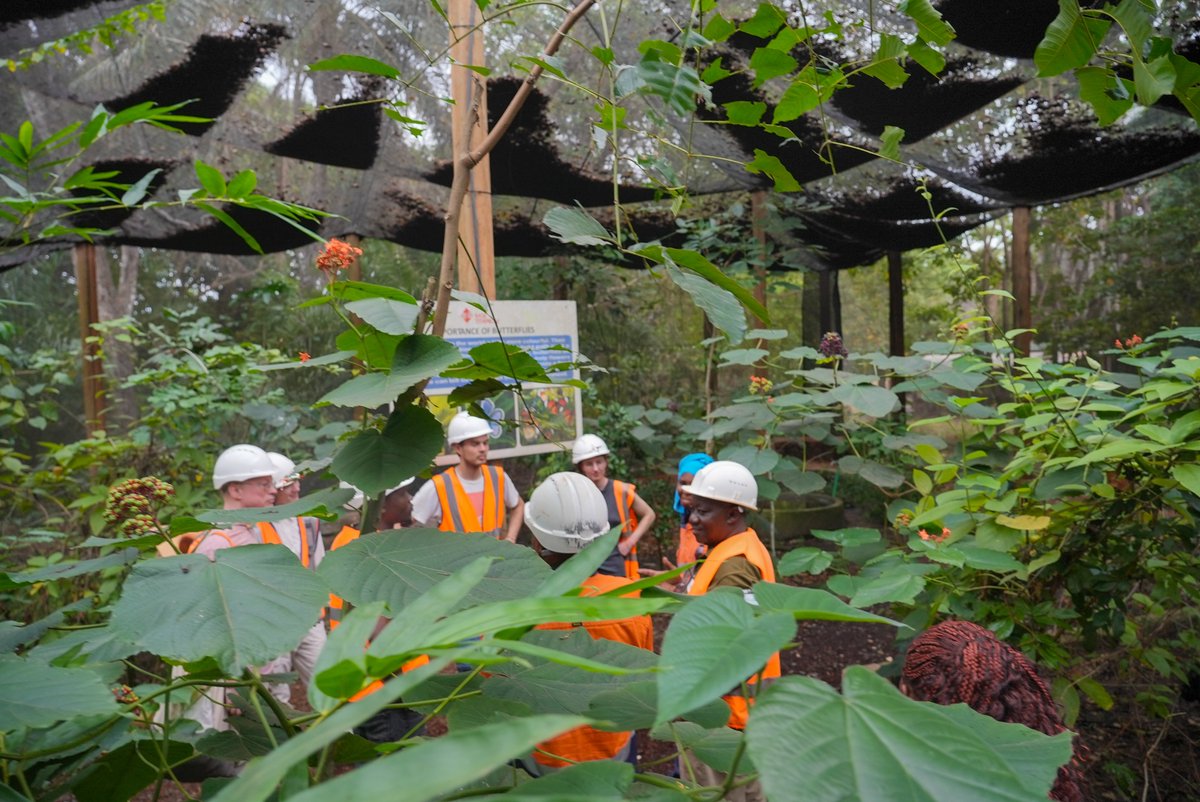 Base Titanium tweet media