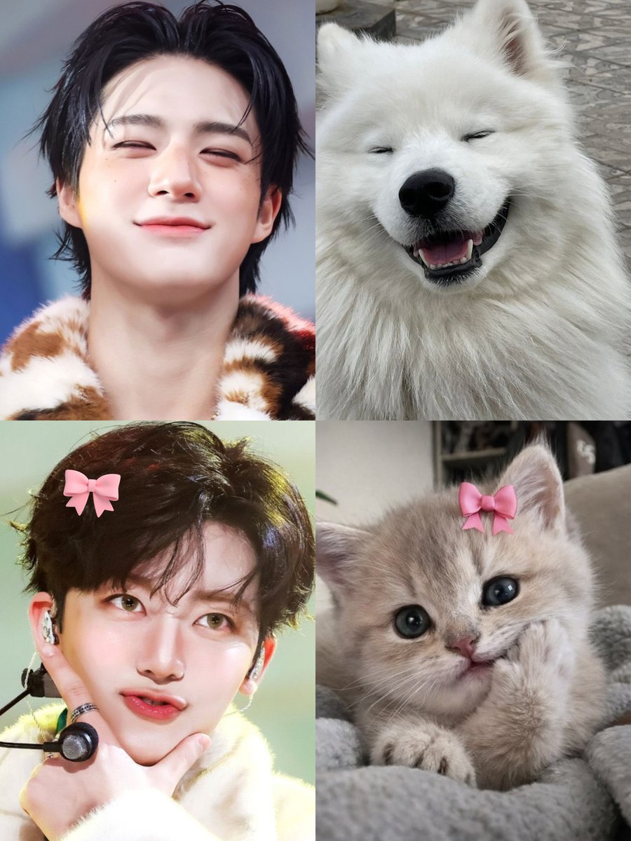 ૮(.◜◡◝)ა 💞  ₍^·͈༝·͈^₎◞