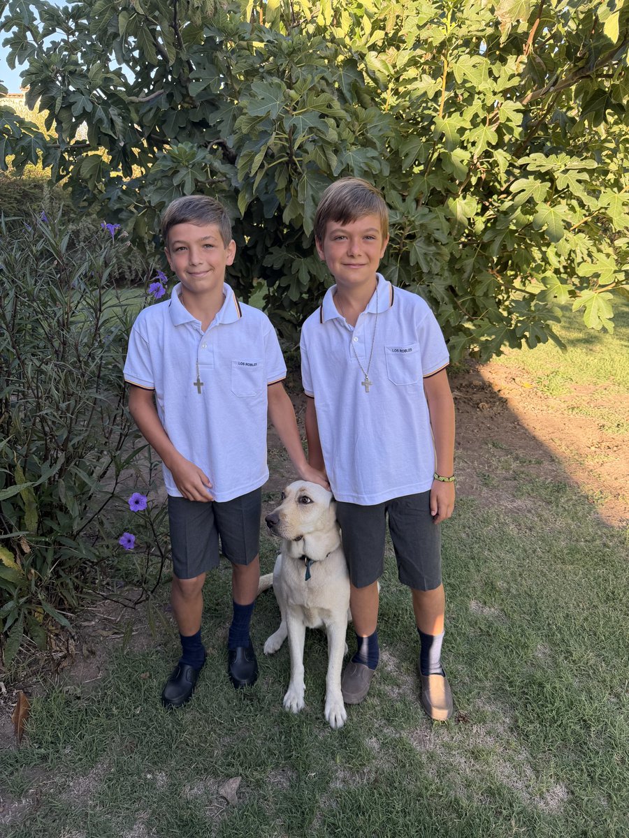 Negro Wernicke tweet media