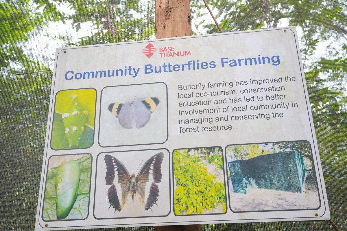 Base Titanium tweet media