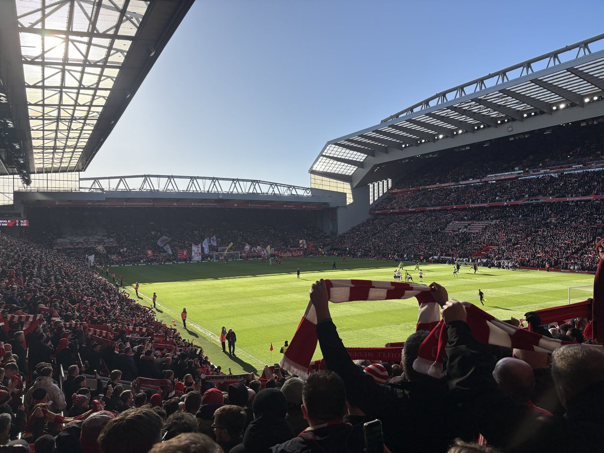 Lewis Maddocks tweet media