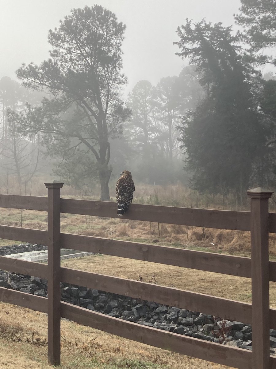 Marcus Manning tweet media