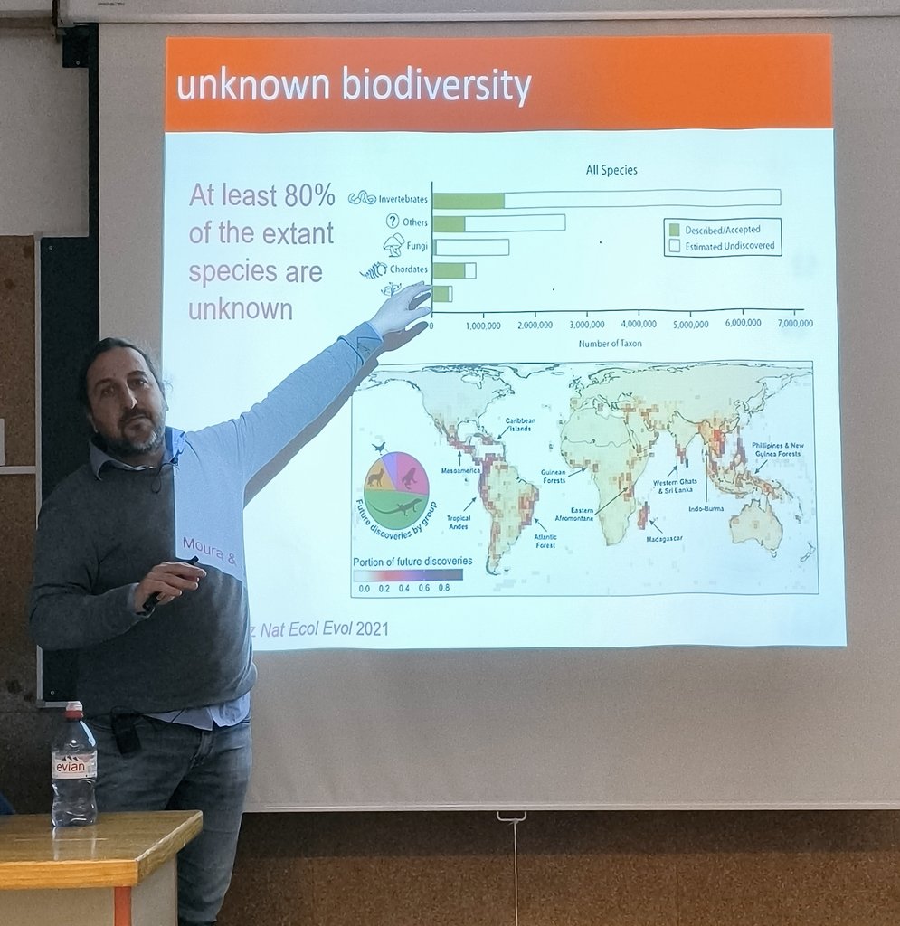 Alejandra Zarzo Arias tweet media