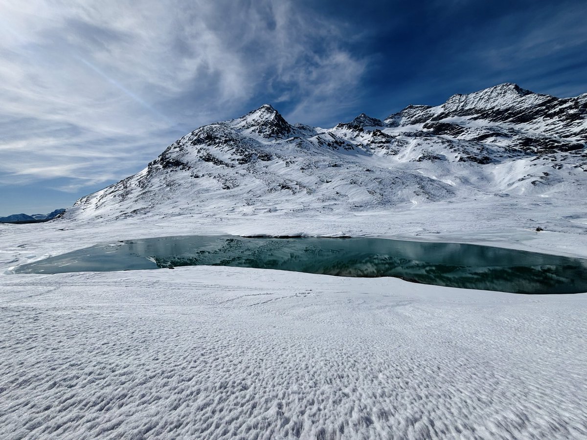 hel leehrax tweet media