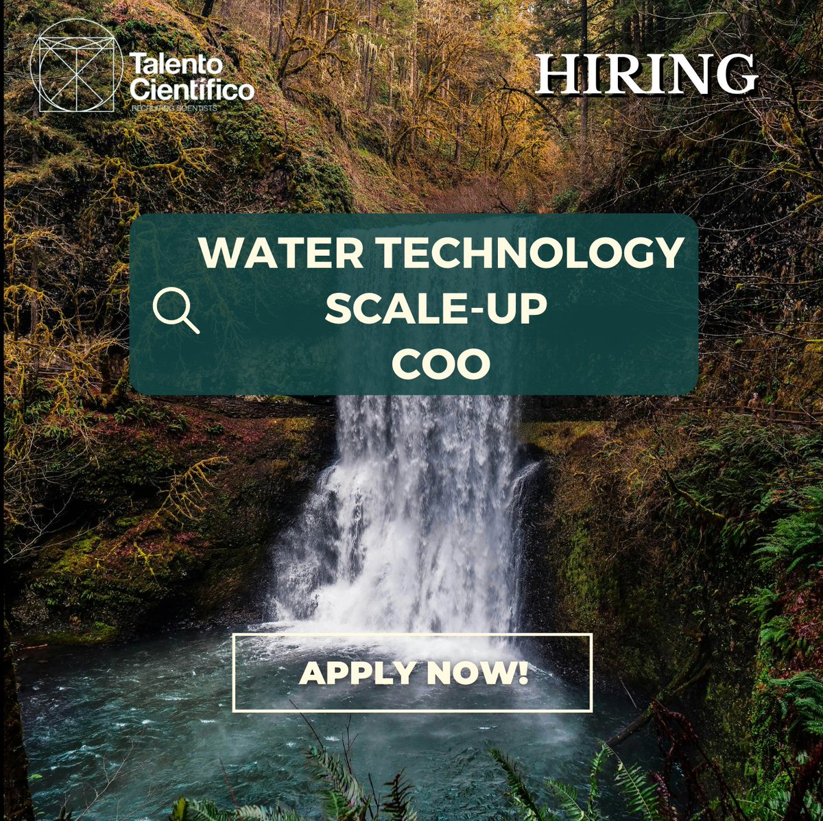 Talento Científico tweet media