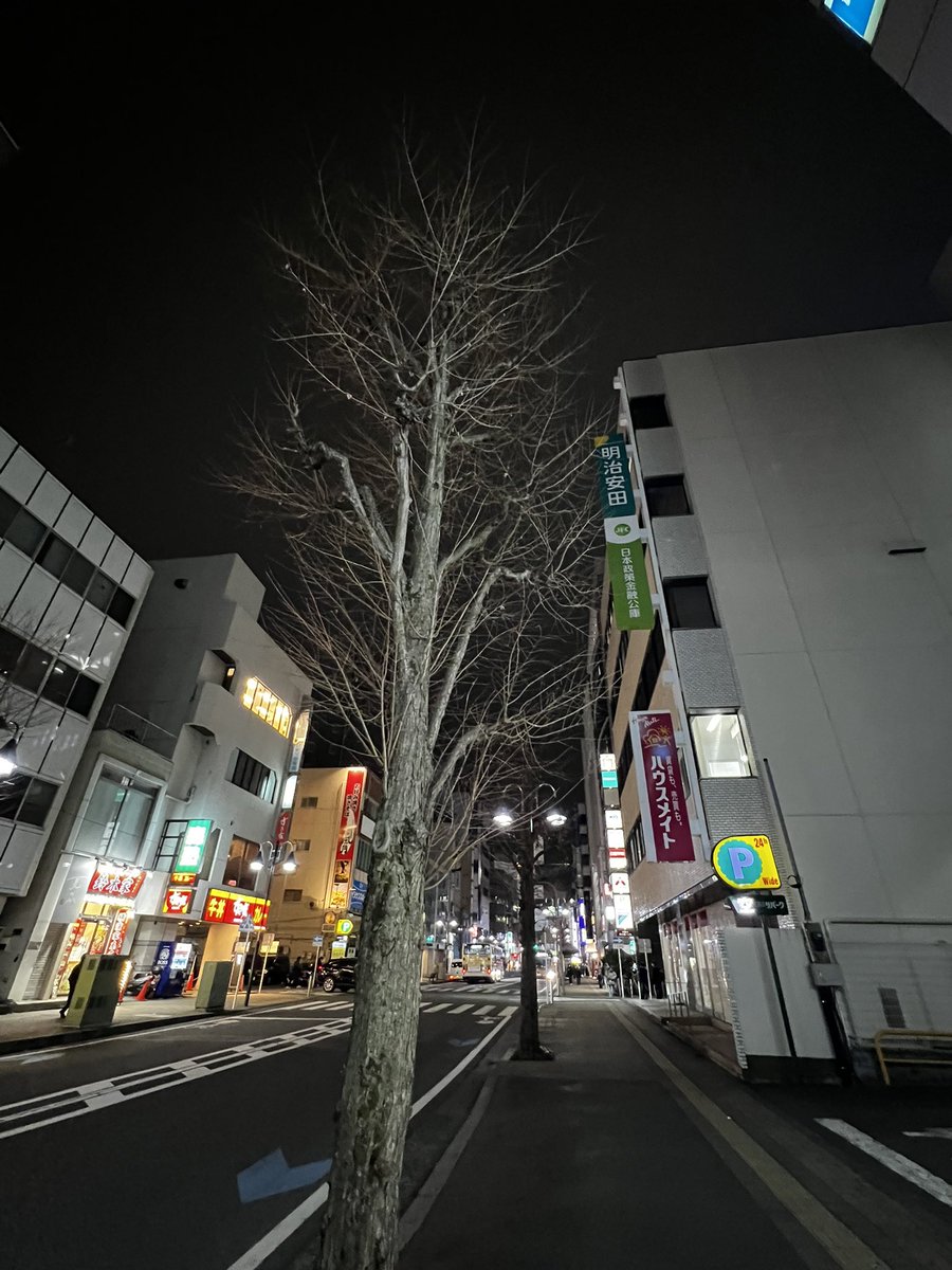 もこちゃんチャンネル【700万人動画クリエイター】 最虎桜もこざくら