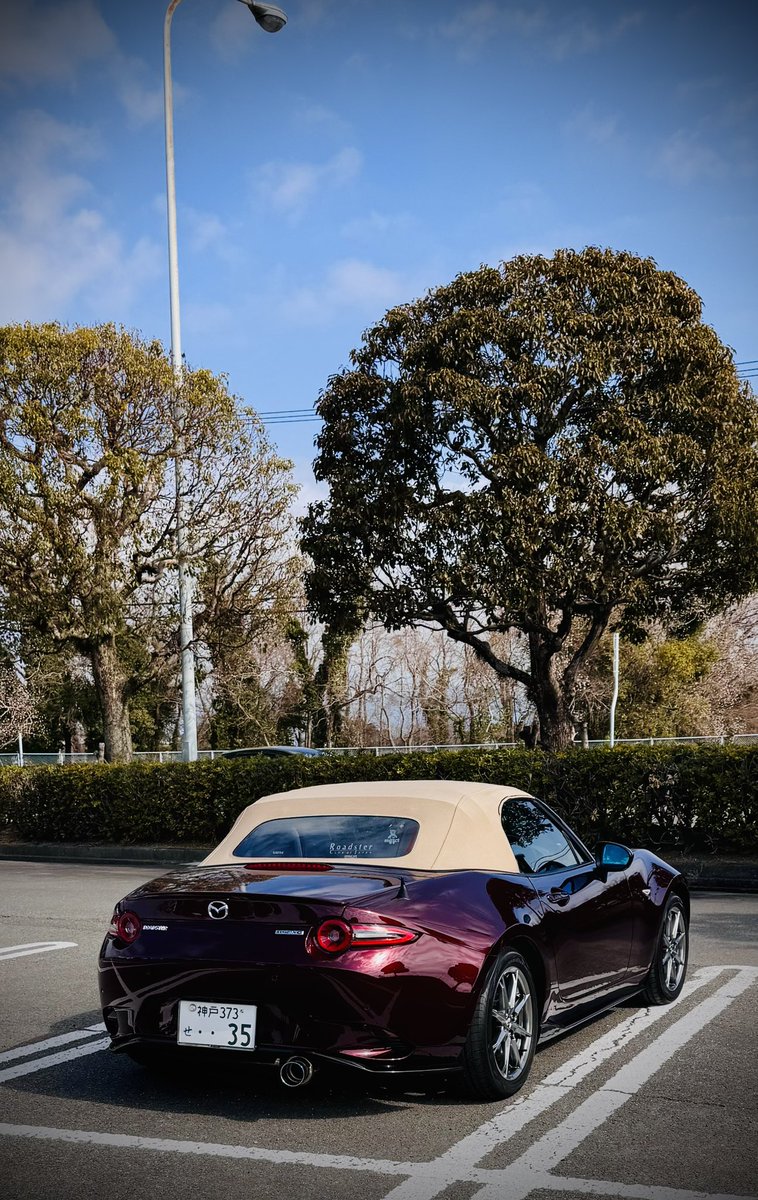 ﾀﾝ幌ﾛｰﾄﾞｽﾀｰ tweet media