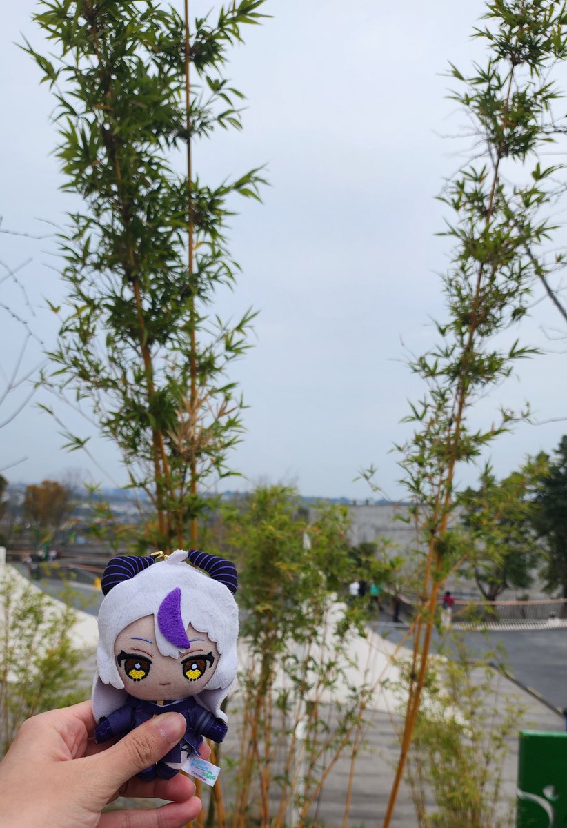 SuzukumA tweet media