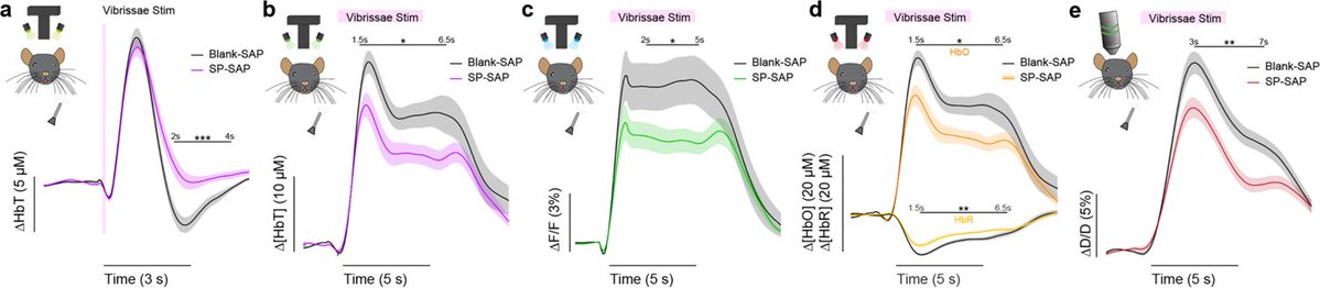 Harraz Lab tweet media