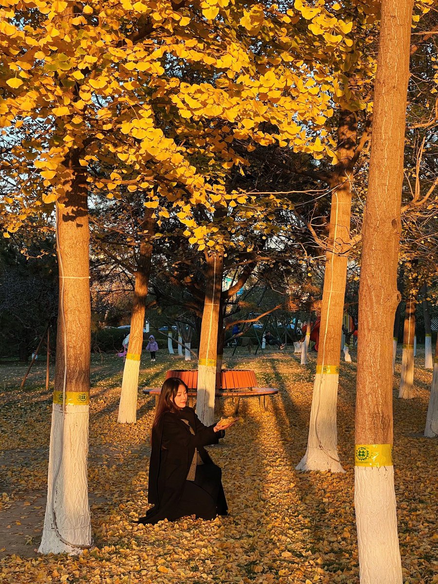 Zalmy Assistant tweet media