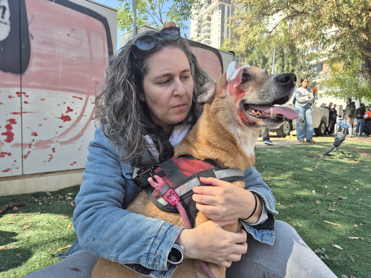 קרולינה צריכה טרמפ לווטרינר פה בבאר שבע. מישהו?