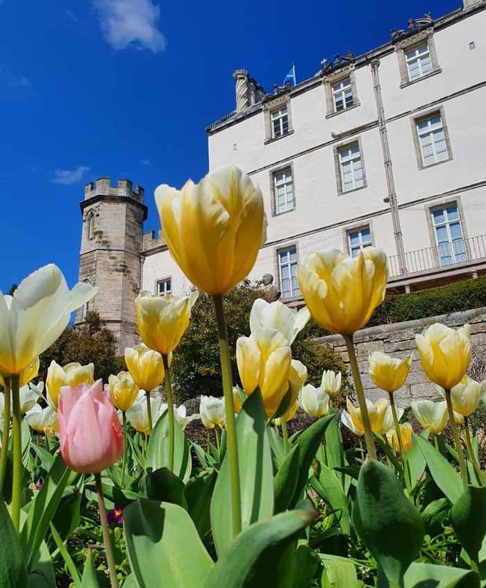 Winton Castle tweet media