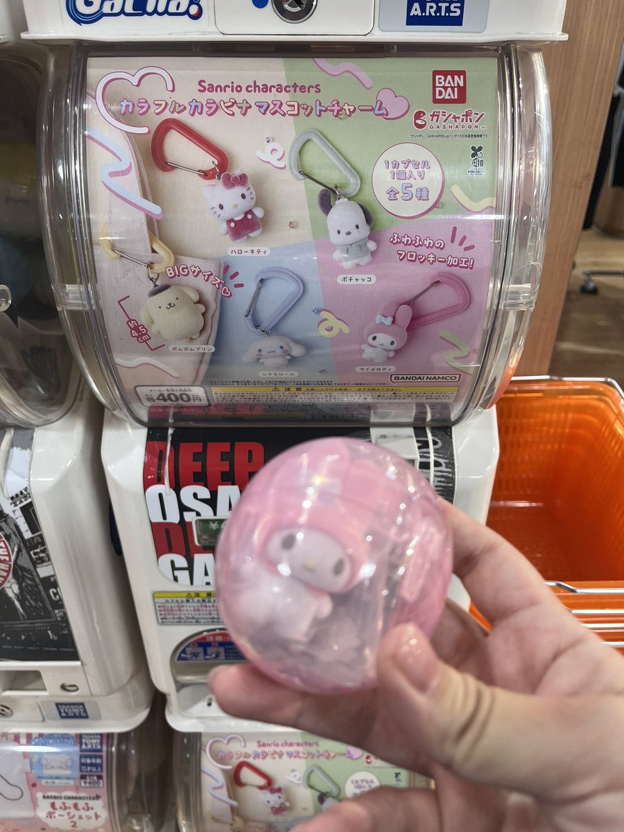 🐱🐈🐾 tweet media