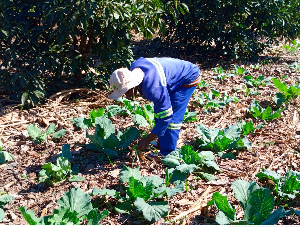 Derick Matsengarwodzi | Communication Strategist tweet media