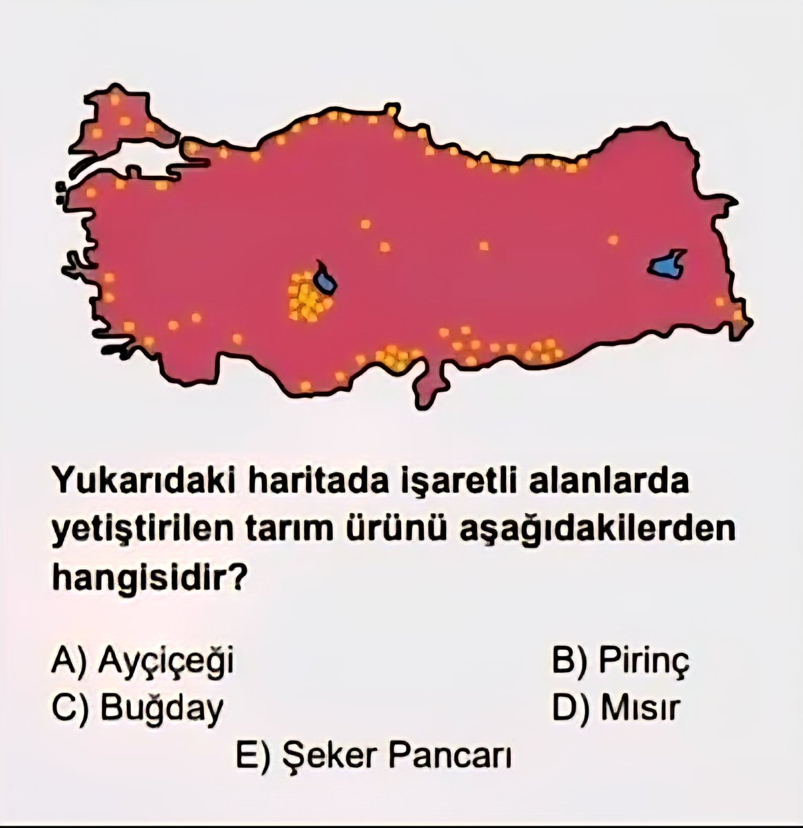 Tarih & Coğrafya tweet media