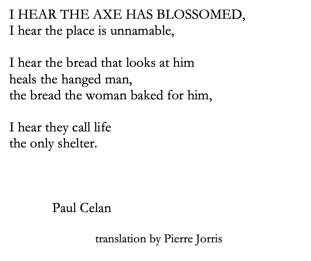 Bianca Stone tweet media