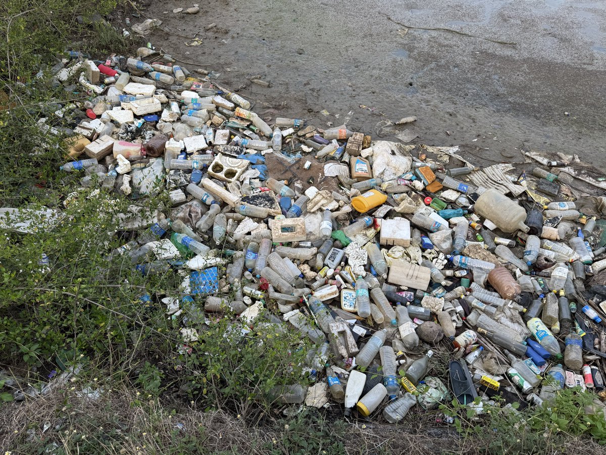 indian_pitta's tweet photo. Devastating state of Andaman.
It’s truly heartbreaking to witness this.

Almost every roadside is piled with garbage.

I’m visiting after four years, and the condition of the islands this time is deeply disheartening. A place known for its pristine beauty deserves so much better. https://t.co/XqB9olYvWn