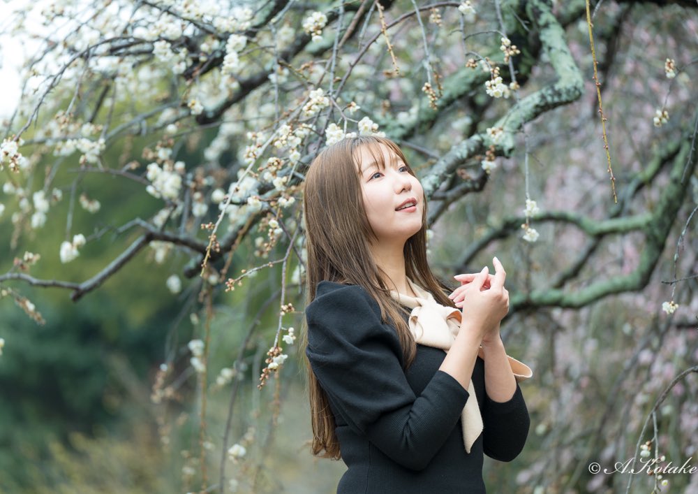 一気に春がやってきたね