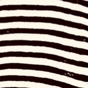 Barbara Harding tweet media