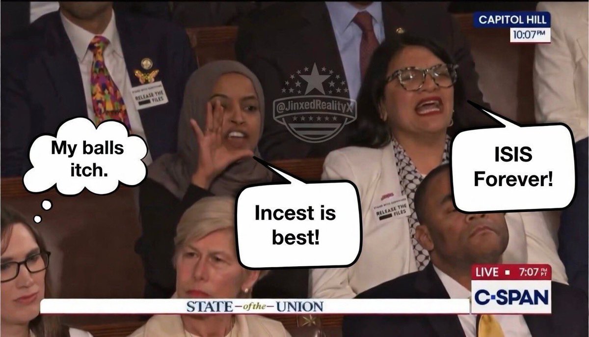 T_lundy5's tweet photo. @RashidaTlaib https://t.co/eotTEM8ldh