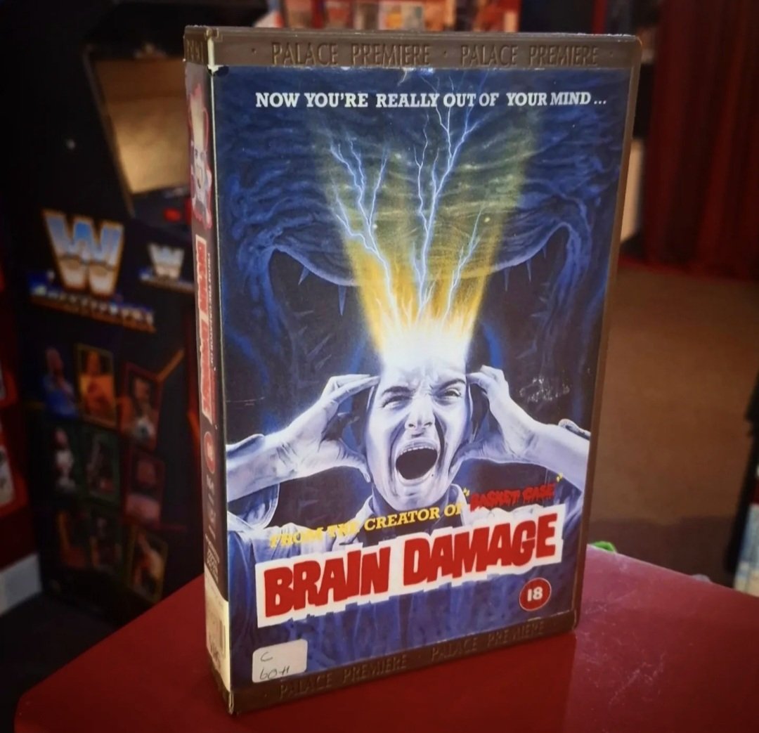 80s Video Shop tweet media