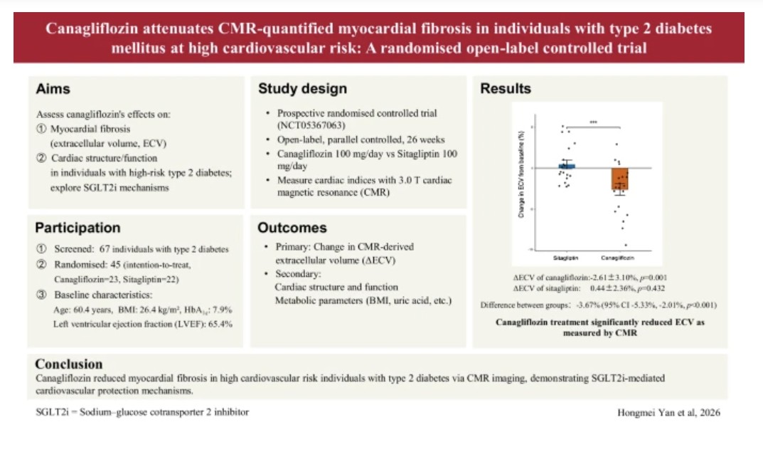 DiabetologiaJnl's tweet photo. Novel RCT: Canagliflozin reduces myocardial fibrosis (by CMR) in high-risk #T2DM, providing imaging evidence for its cardioprotection. A mechanism beyond glycaemic management. #SGLT2i #CardioDiabetes #HeartFailure #DiabetesResearch https://t.co/szL41dqGCB 🔓 https://t.co/M68iq7zMf4