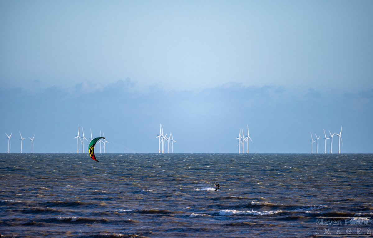 steven paston tweet media