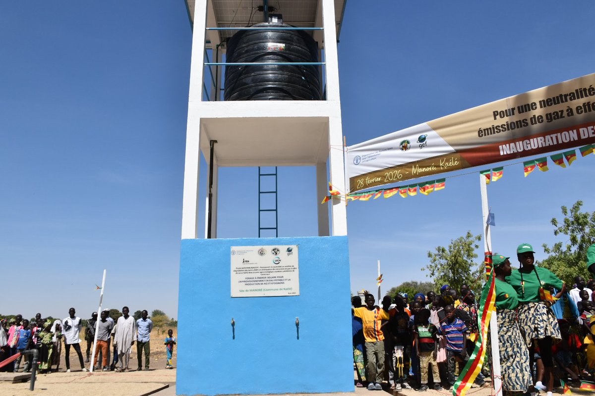FAOCameroun's tweet photo. Cette action s’inscrit dans le projet visant la neutralité en matière de dégradation des terres (NDT) et l’atténuation des émissions de gaz à effet de serre dans la zone soudano-sahélienne, financé par @theGEF.
Des solutions concrètes pour faire face aux chocs climatiques. https://t.co/JMsoO6dsiw