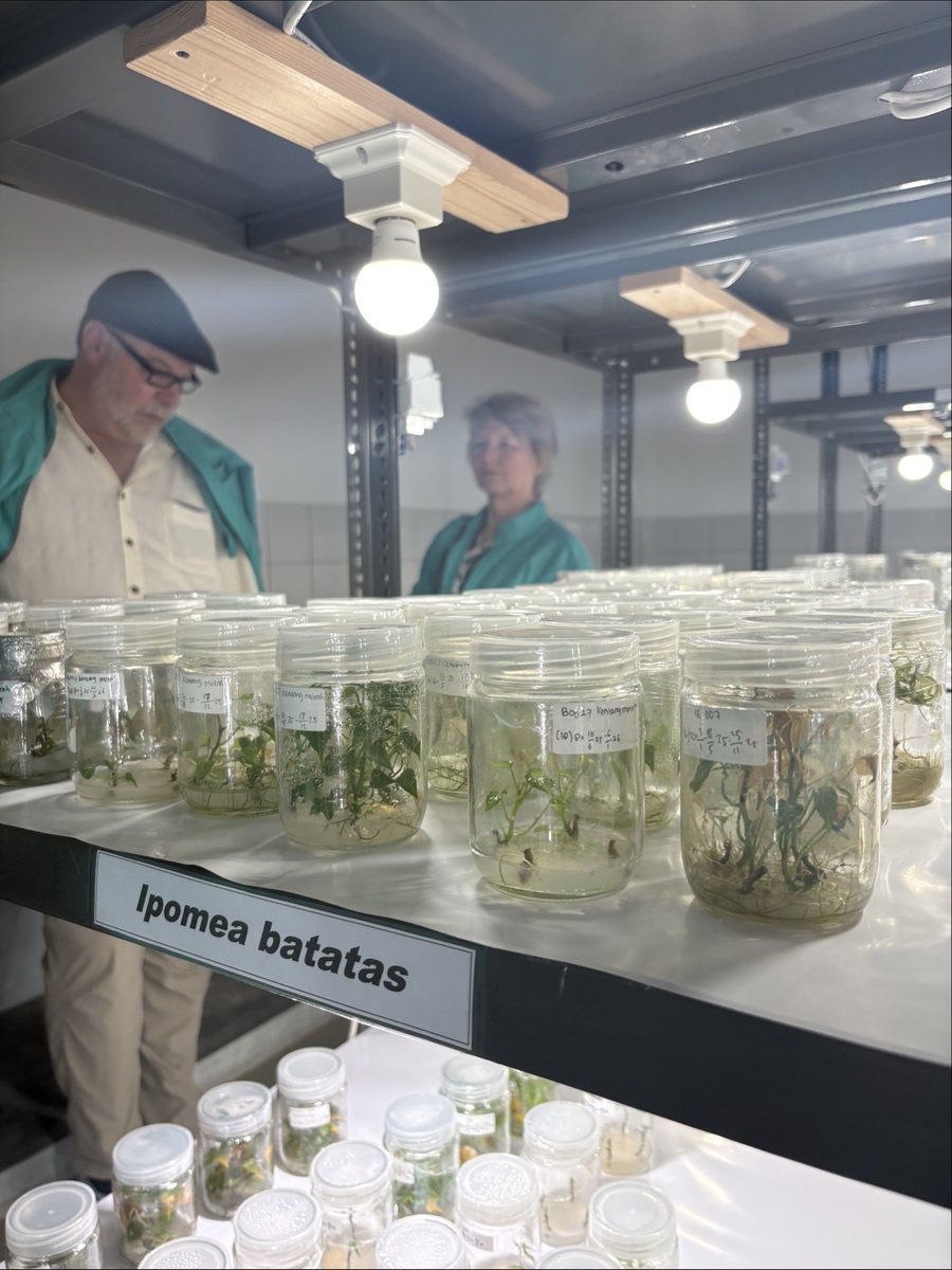 International Seed Federation tweet media