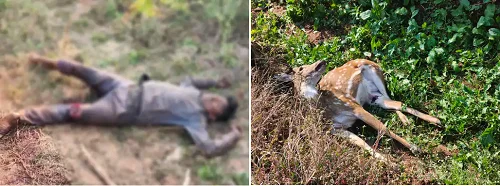 सिंगरौली में तालिबानी क्रूरता, युवक का पैर काटकर फेंका, शरीर पर जलने के निशान, पास ही मिला मृत हिरण
deshbandhump.com/post/taliban-b…
#singrauli #man #burn #body #dead #deer #FOUND