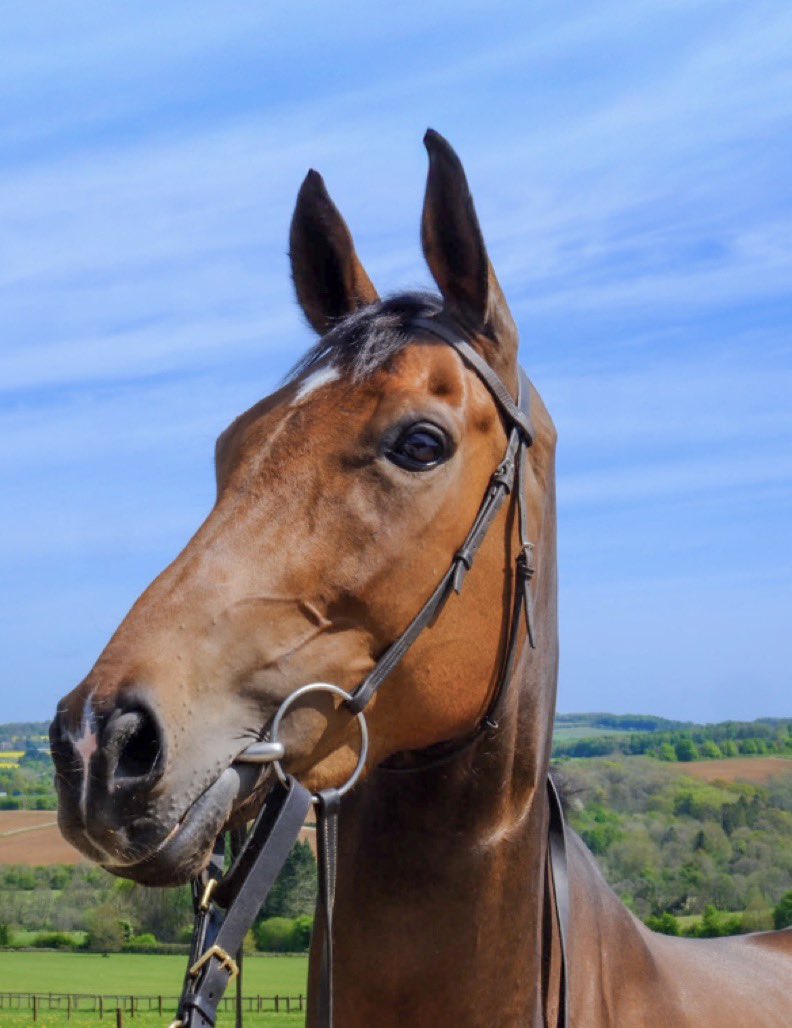 Ginger Joe Racing & Golf tweet media