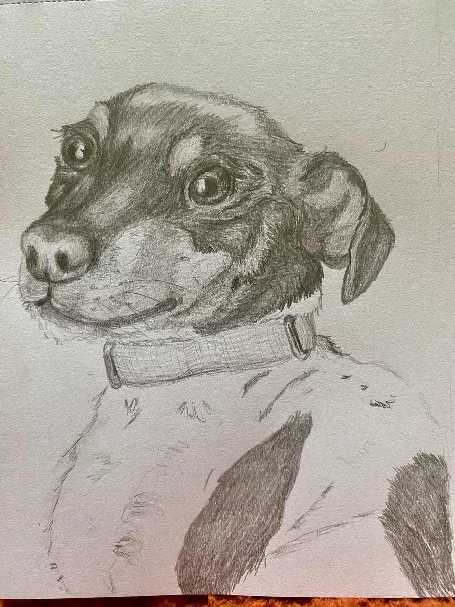 Author Barbara Copperthwaite | Barbara Havelocke tweet media