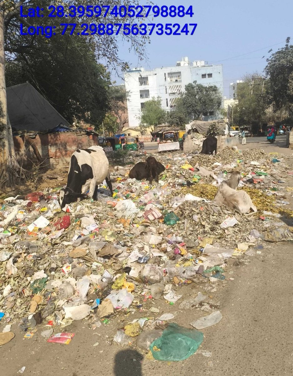 Day 2.5 of travelling in  india 34th clean city 🥰🥰
> Before saying slums all images are from sectors , residential areas not illegal colonies and slums 
>All images were taken within the distance of 500 meters 
> Civic sense is an issue for a smart city it should be taking acti