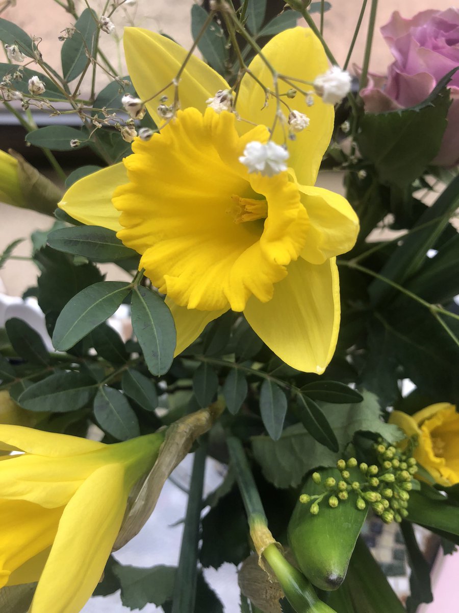 Jillys Flowers tweet media