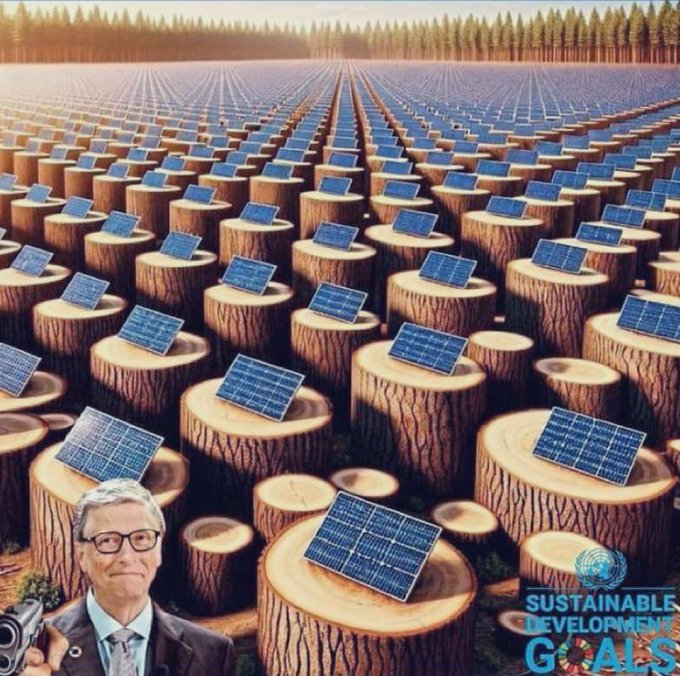 greeksinartcon1's tweet photo. @Artemisfornow #FREEDOMCRY I THOUGHT IT WAS #UK, BUT #SPAIN IS NO BETTER THAT #UK...#GATES GOVERNS EVERYWHERE.... HE CUTS TREES AND FORESTS TO MAKE OXYGEN FOR US, APPARENTLY... https://t.co/D2SIllzfPB